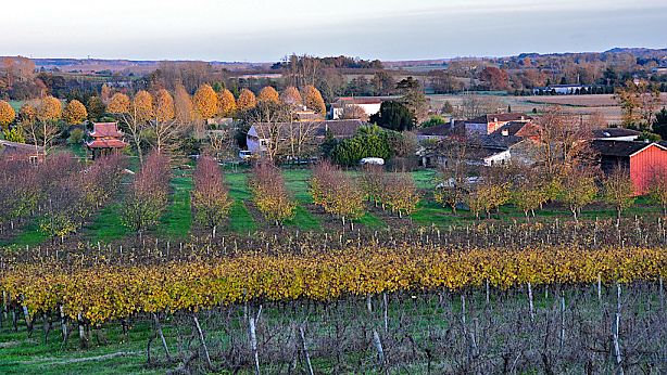 New Hamlet, Plum Village, 2009